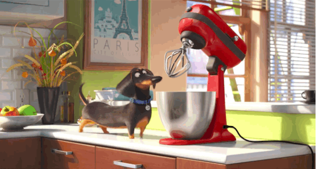 Гифка с таксой Бадди, персонаж мультфильма Тайная жизнь домашних животных