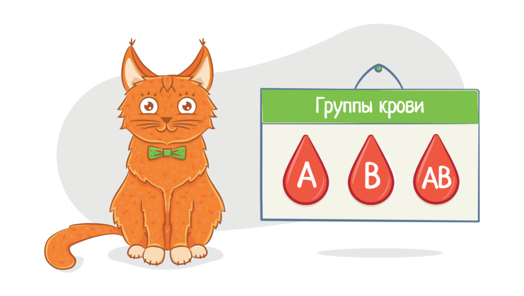 Переливание (донорство) крови животных
