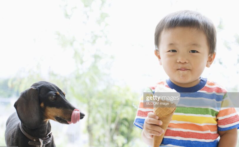 Почему собаке нельзя есть сладкое