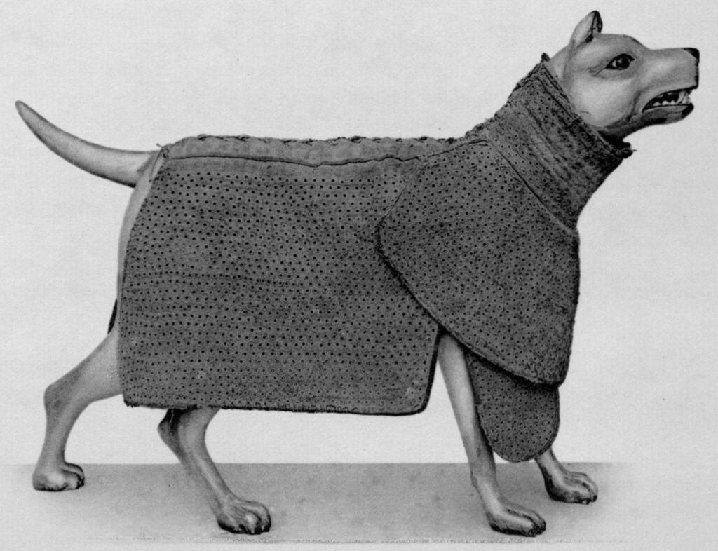 Собачья мода, почему мы одеваем питомцев в одежду