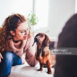 Приучение собаки к чистоплотности в квартире
