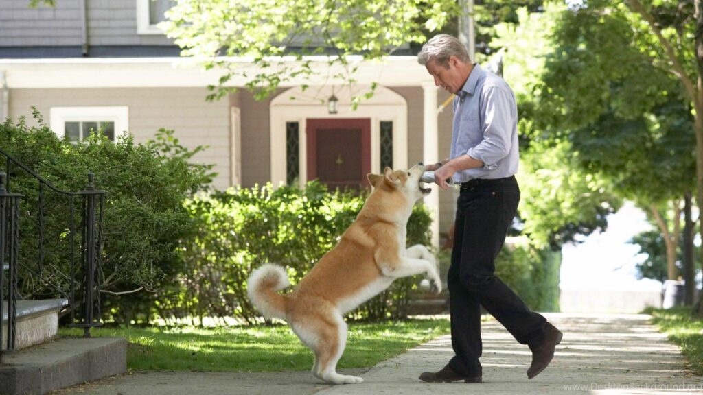 Хатико: Самый верный друг (2008) Hachi: A Dog's Tale