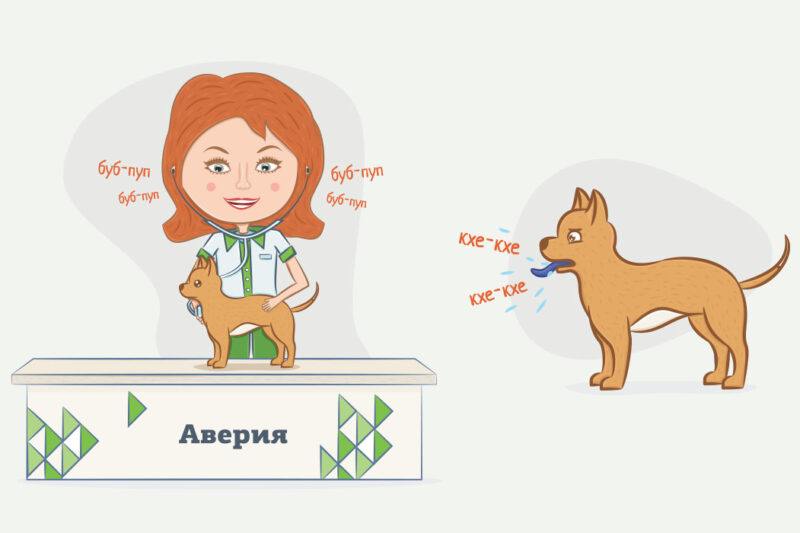 Кардиология в ветеринарии