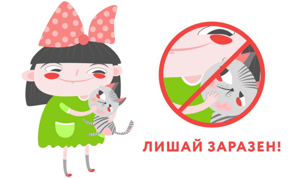 Лишай у кошек и собак: симптомы и лечение