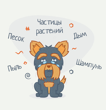 У собаки гноятся глаза, Почему у собаки слезятся глаза