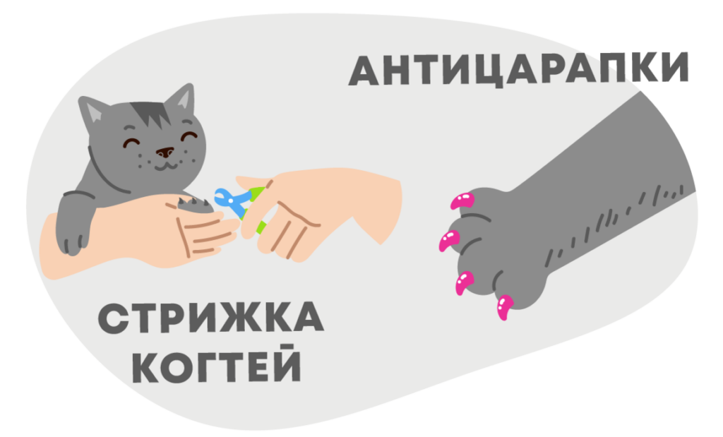 Что делать при ранении глаза когтем