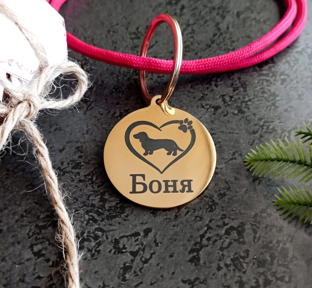 Как не потерять собаку, 6 практических советов