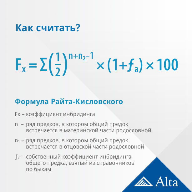 Инбридинг в разведении собак